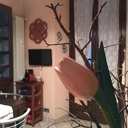 Sisters' House * Turyn
